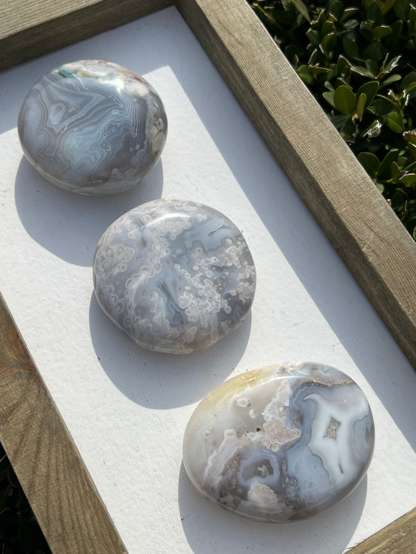 Flower Agate Palm Stones