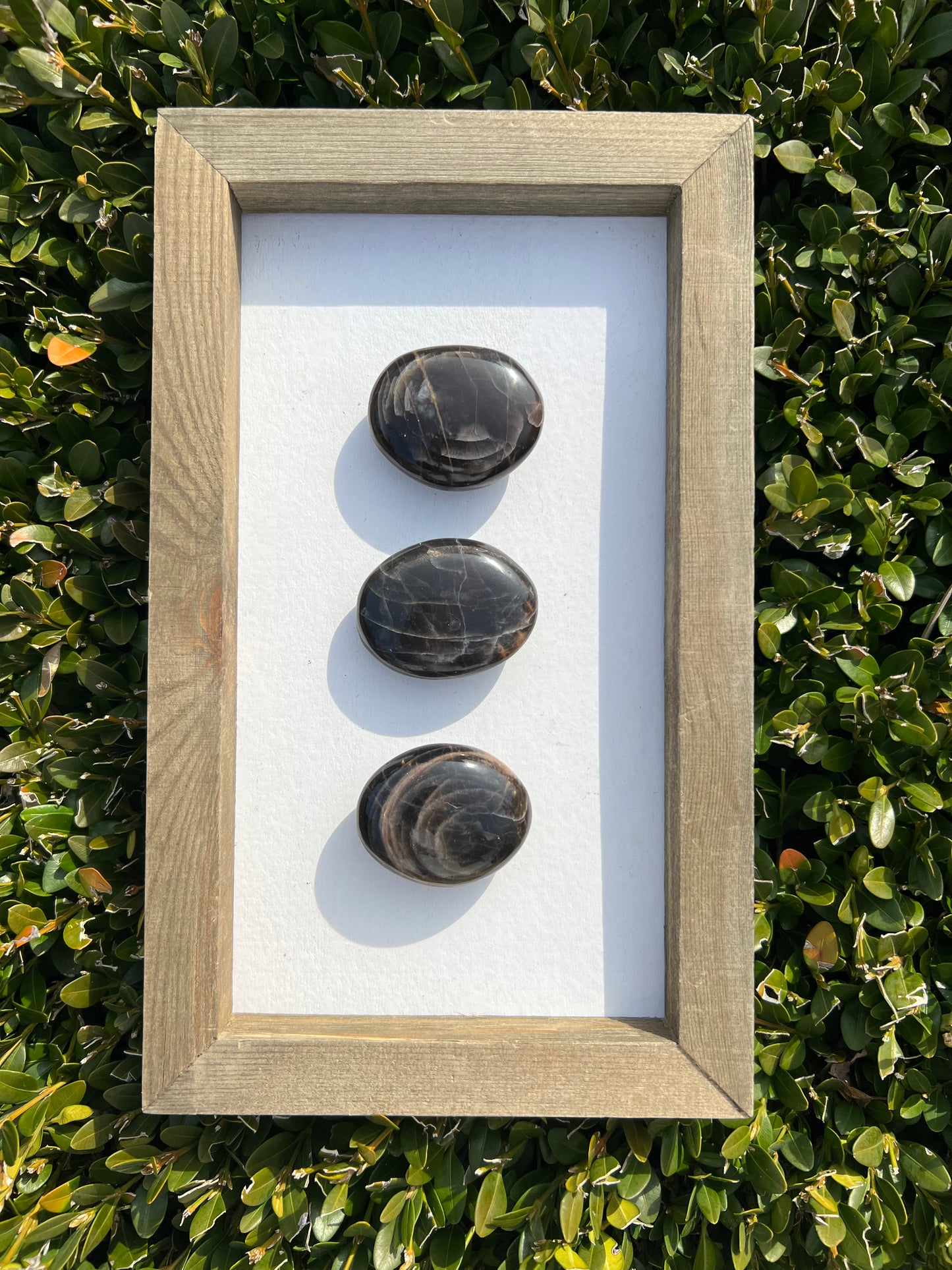 Black Moonstone Palm Stones